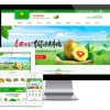 易优cms蔬菜果蔬鲜果配送类网站模板整站源码下载